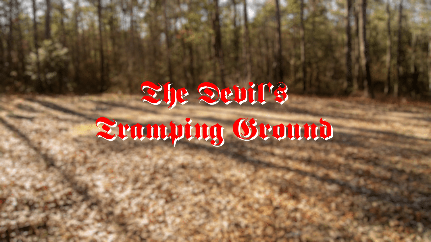 Read more about the article The Devil’s Tramping Ground: Fact, Fiction, or Footsteps of Evil?